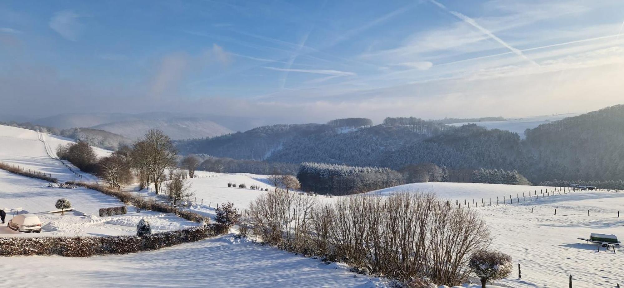 Fewo-Eifel-Morsbach Schleiden Eksteriør billede