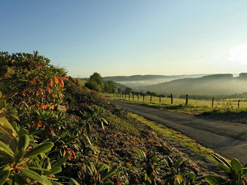 Fewo-Eifel-Morsbach Schleiden Eksteriør billede